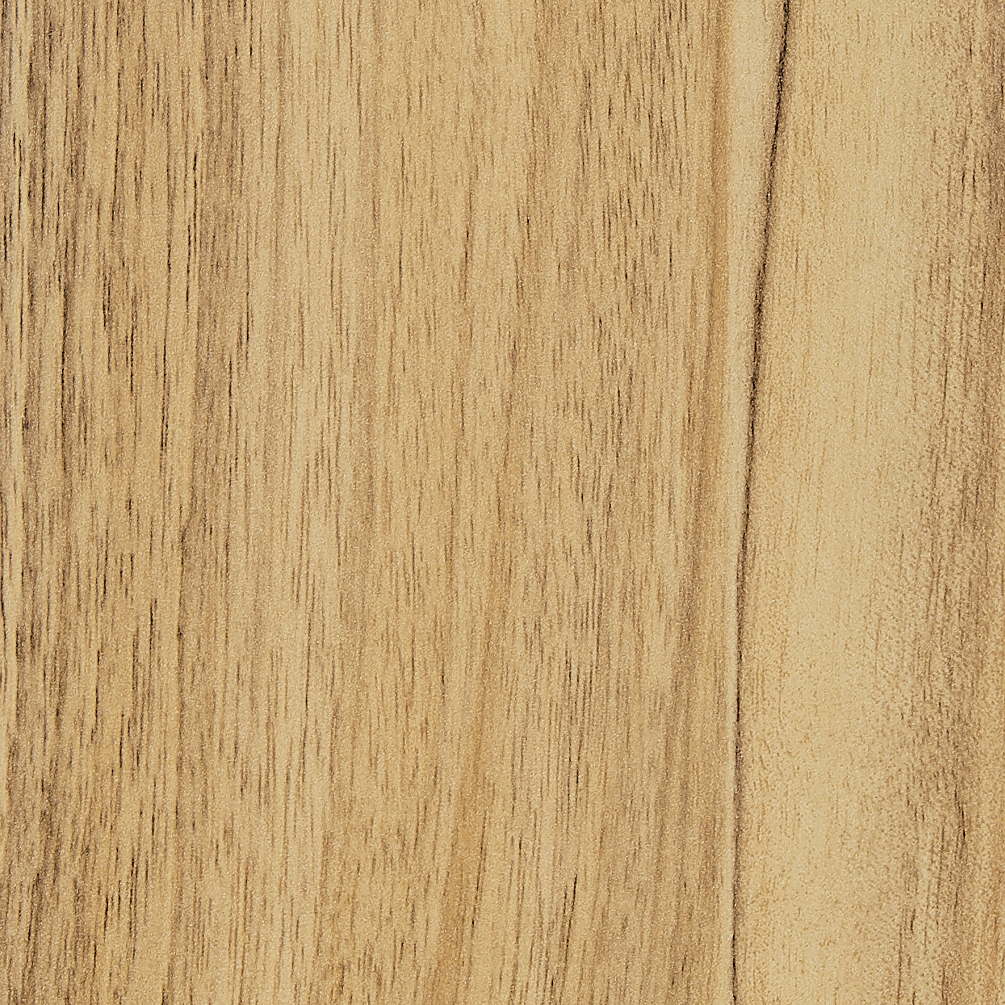 Chestnut
