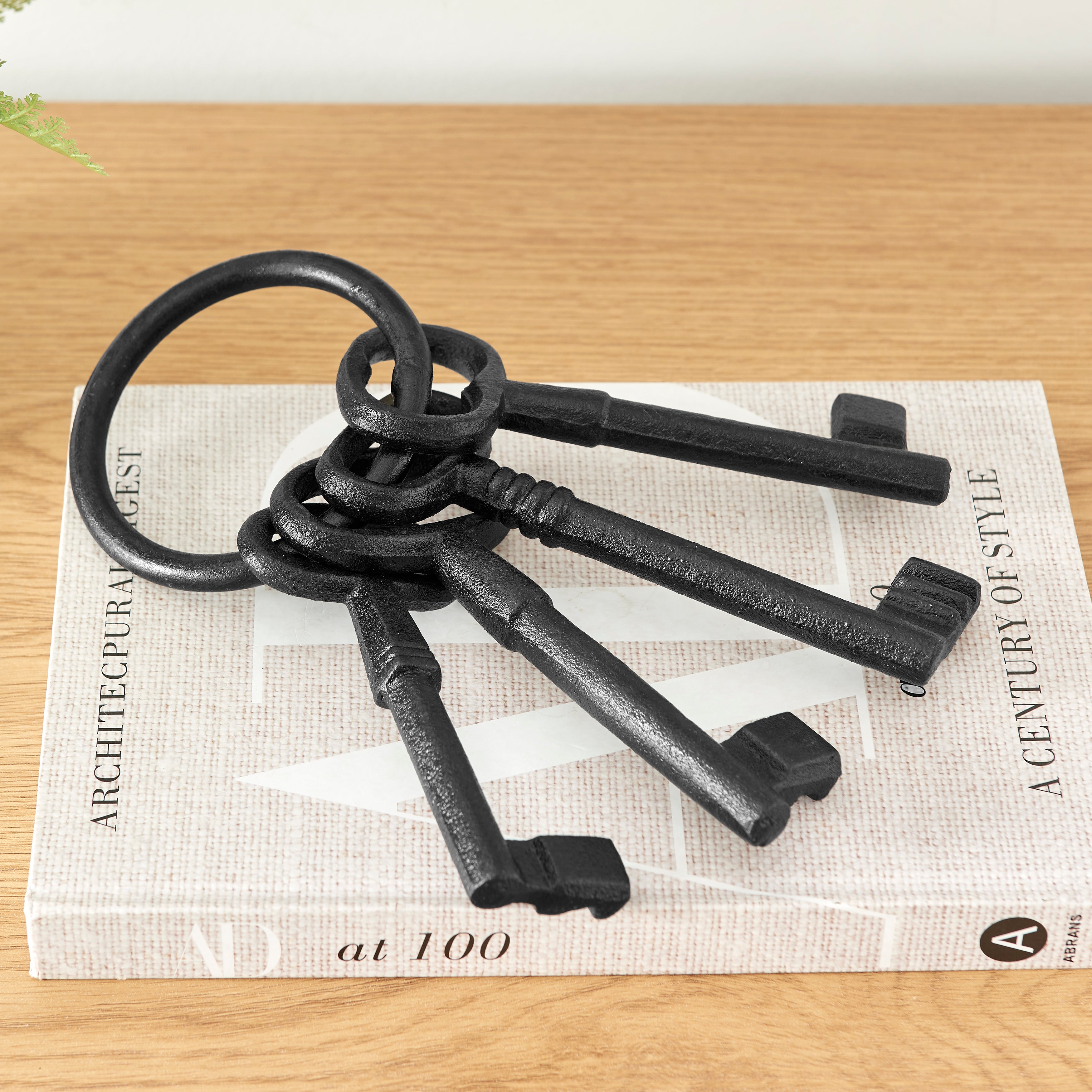Black Iron Keys on Ring Sculpture