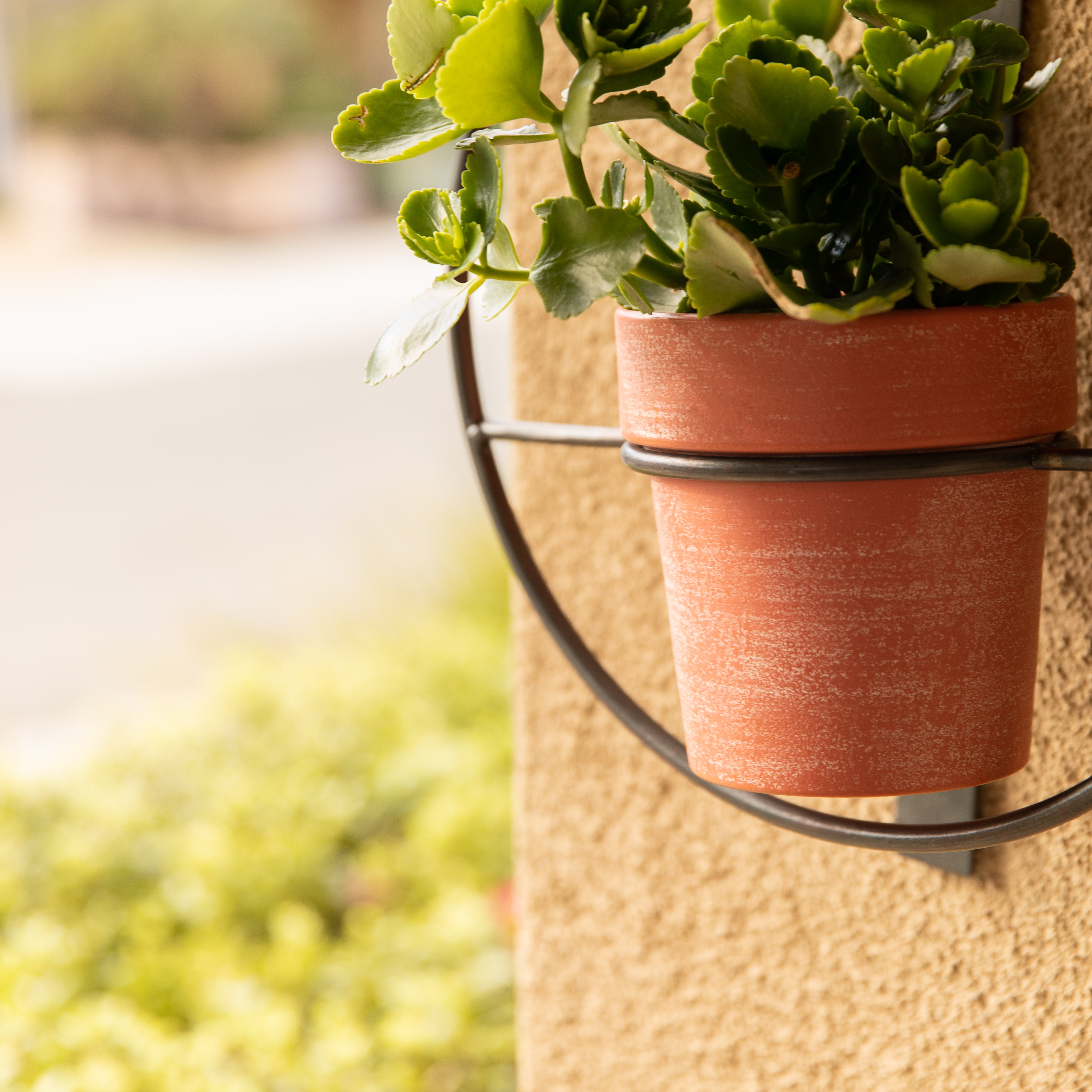 hanging plant pot stand Tivoli 2-Piece Metal Hanging Planter Set